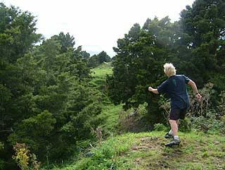 Disc Golf New Zealand